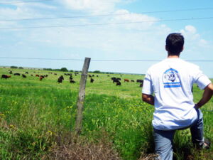 Die natürliche Weite der Pampa ist für argentinische Rinder die ideale Umgebung