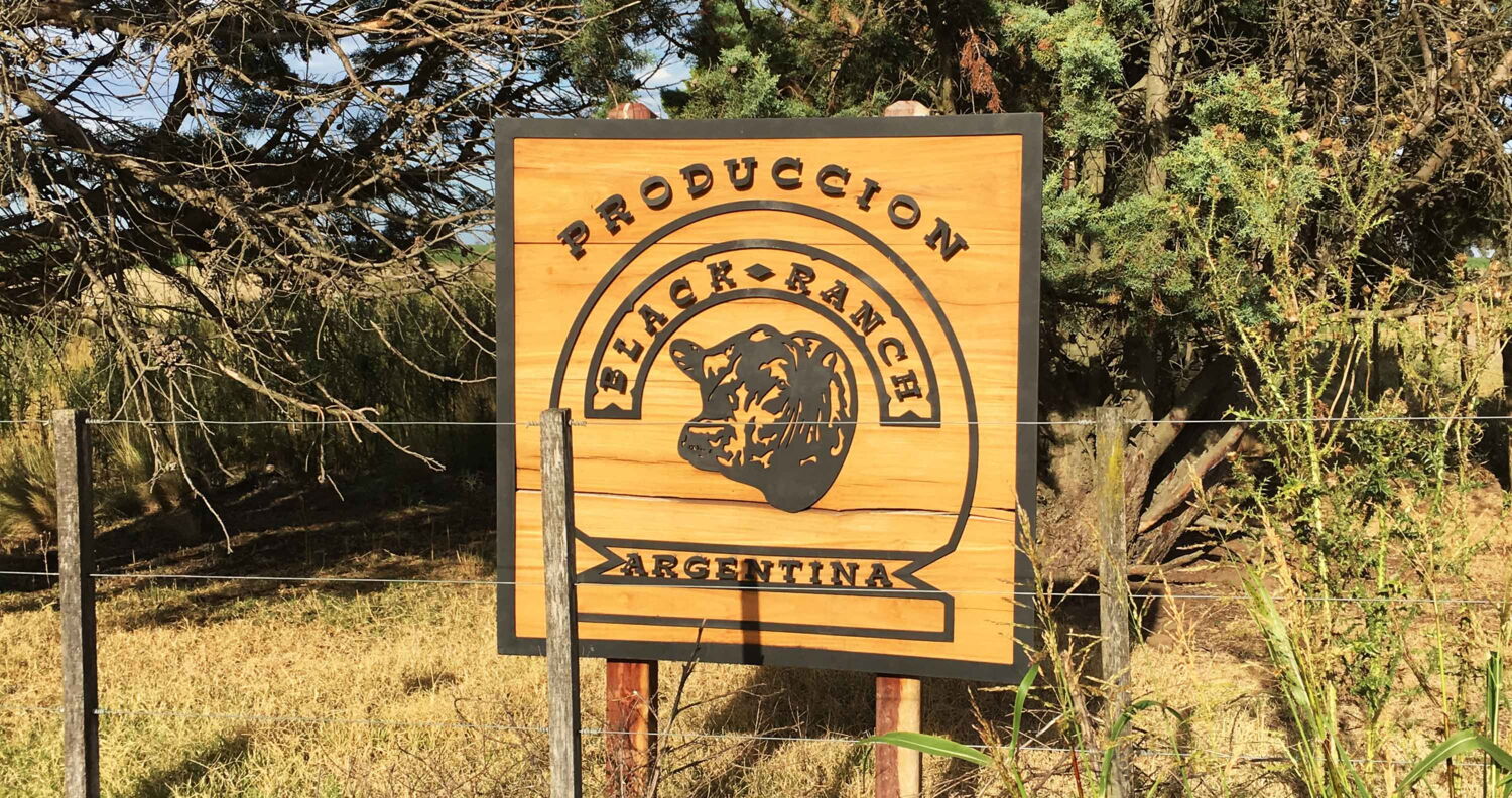 Fleischgroßhandel aufgepasst: DAS ist wirklich gesundes Asado