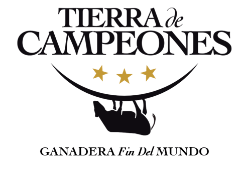 Tierra de Campeones: Premium Rindfleisch aus Argentinien
