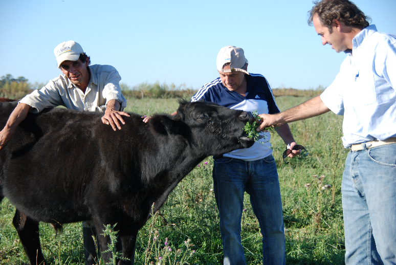 Hilbing Gin aus Argentinien: Exquisiter Gin Genuss