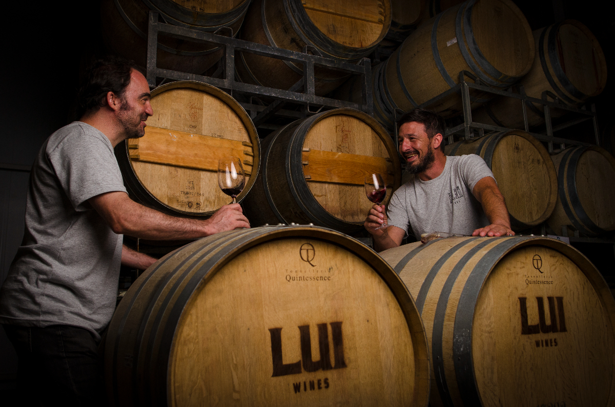 Argentinische Weine vom Feinsten: Das Weingut LUI